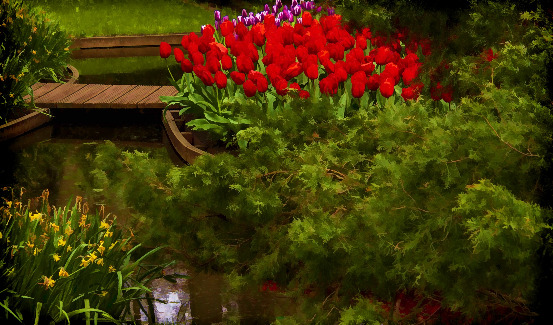 Red Tulips By Pond