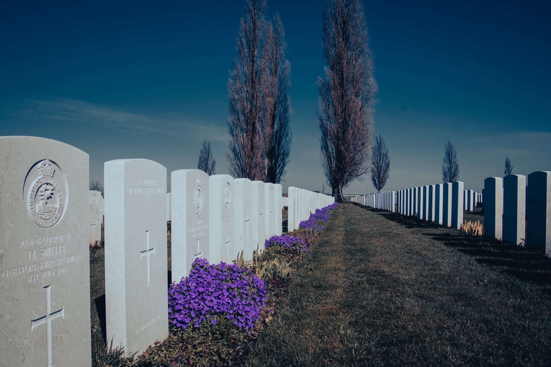 The white graves of fallen soldiers from the world war 1914-18, Belgian military cemeteries West Flanders.