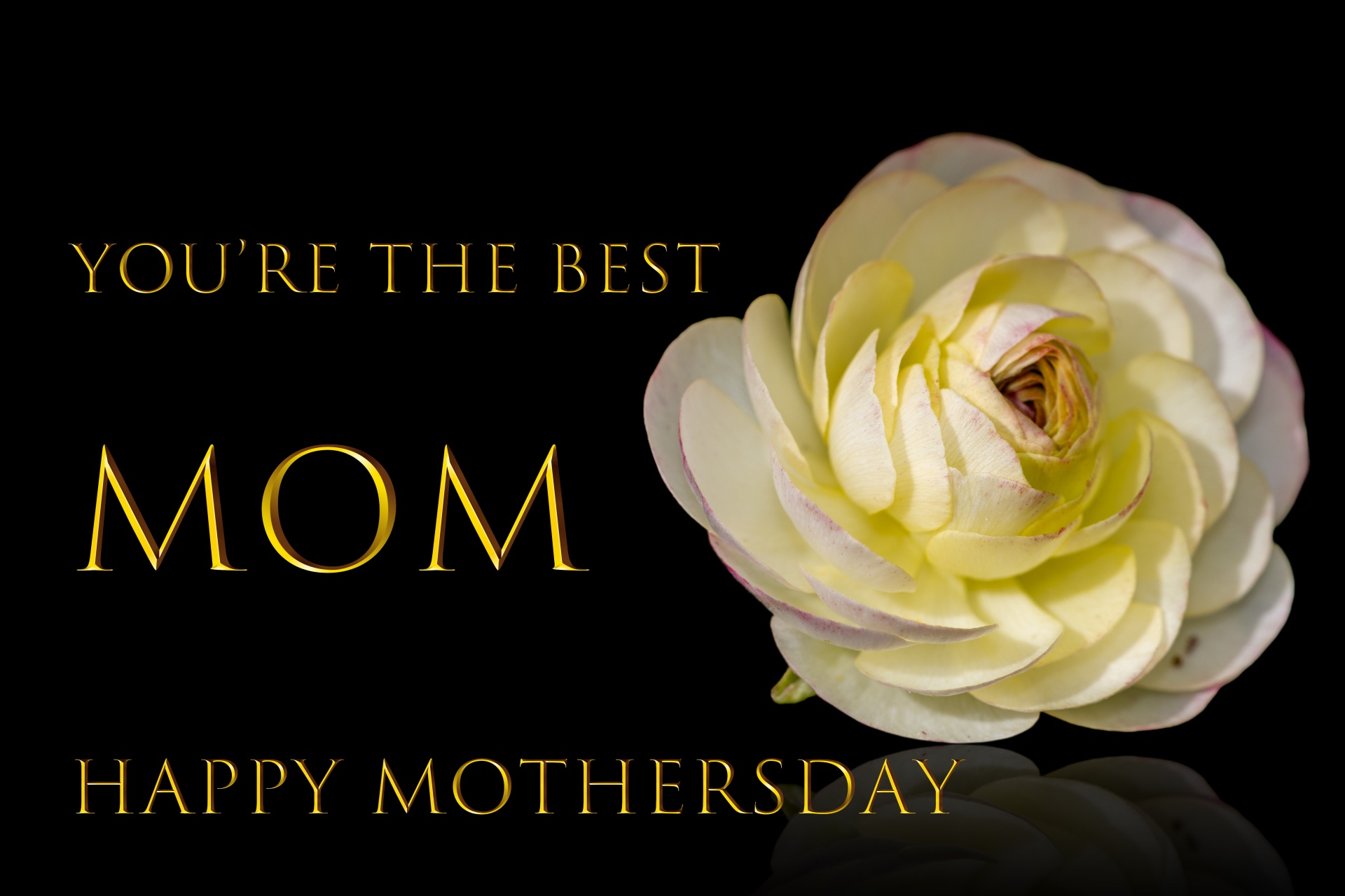 Mother&s Day Greeting Card Free Stock Photo Public Domain Pictures
