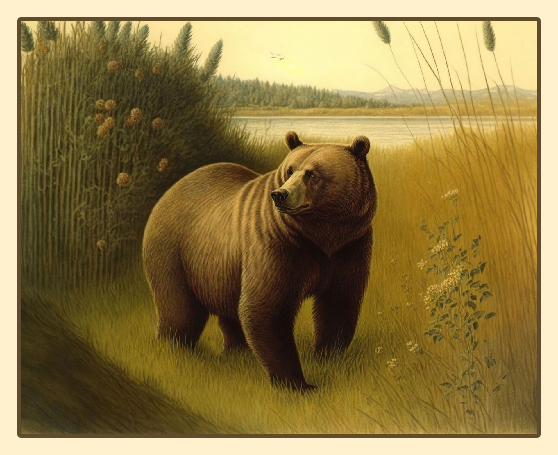 Vintage Brown Bear Art