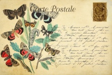 Butterflies Vintage Postcard
