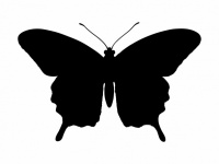 Butterfly Black Silhouette Clipart