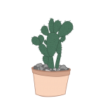 Cactus Pot Plant Illustration