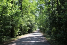 The Road To The Monument