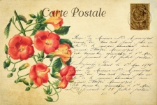 Flowers Vintage Floral Postcard