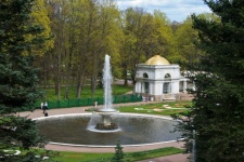 Fountain In Lower Park At Peterhof