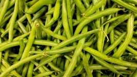 Green Beans Closeup