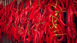 Hanging Chili Peppers