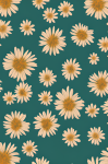 Daisy Flowers Scattered Background