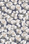 White Roses Background