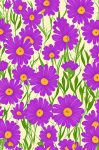 Daisy Flowers Scattered Background