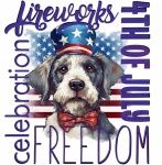 4th Of July Independence Day Poster