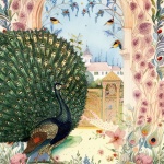 Peacock Digital Illustration