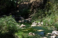 Mossy Stream