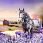 Lavender Homestead Horse