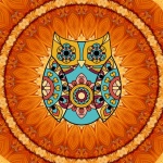 Mandala Owl Illustration