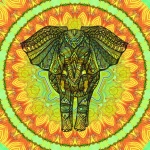 Elephant Mandala Illustration