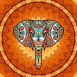 Mandala Elephant Illustration