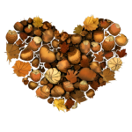 Autumn Leaves Heart PNG