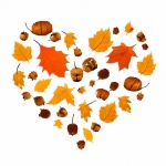 Autumn Leaves Heart