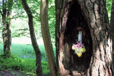 A Shrine By The Road In The Forest