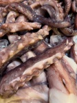 Raw Octopus Seafood