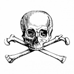 Skull Cross Bones Illustration