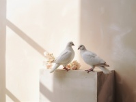 The Serene Dove Couple