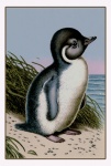 Vintage Baby Penguin Illustration