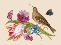 Vintage Bird, Flowers Illustration