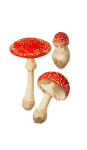 Vintage Clipart Mushrooms Toadstools