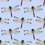 Vintage Dragonfly Background