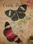 Vintage Floral Butterfly Postcard