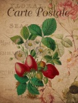 Vintage Floral Strawberry Postcard