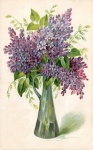 Vintage Lilac Flowers Illustration