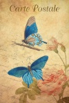 Vintage Postcard Butterflies