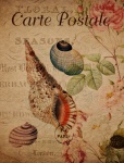 Vintage Seashells Floral Postcard