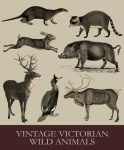 Vintage Victorian Wild Animals