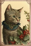Vintage Christmas Postcard Cat