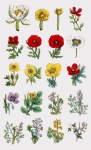 Vintage Wildflowers Set