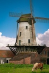 Windmill, Horse, Landscape