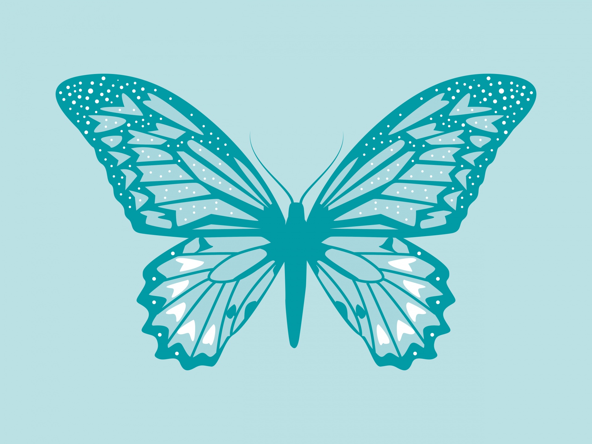 butterfly-colorful-illustration-free-stock-photo-public-domain-pictures