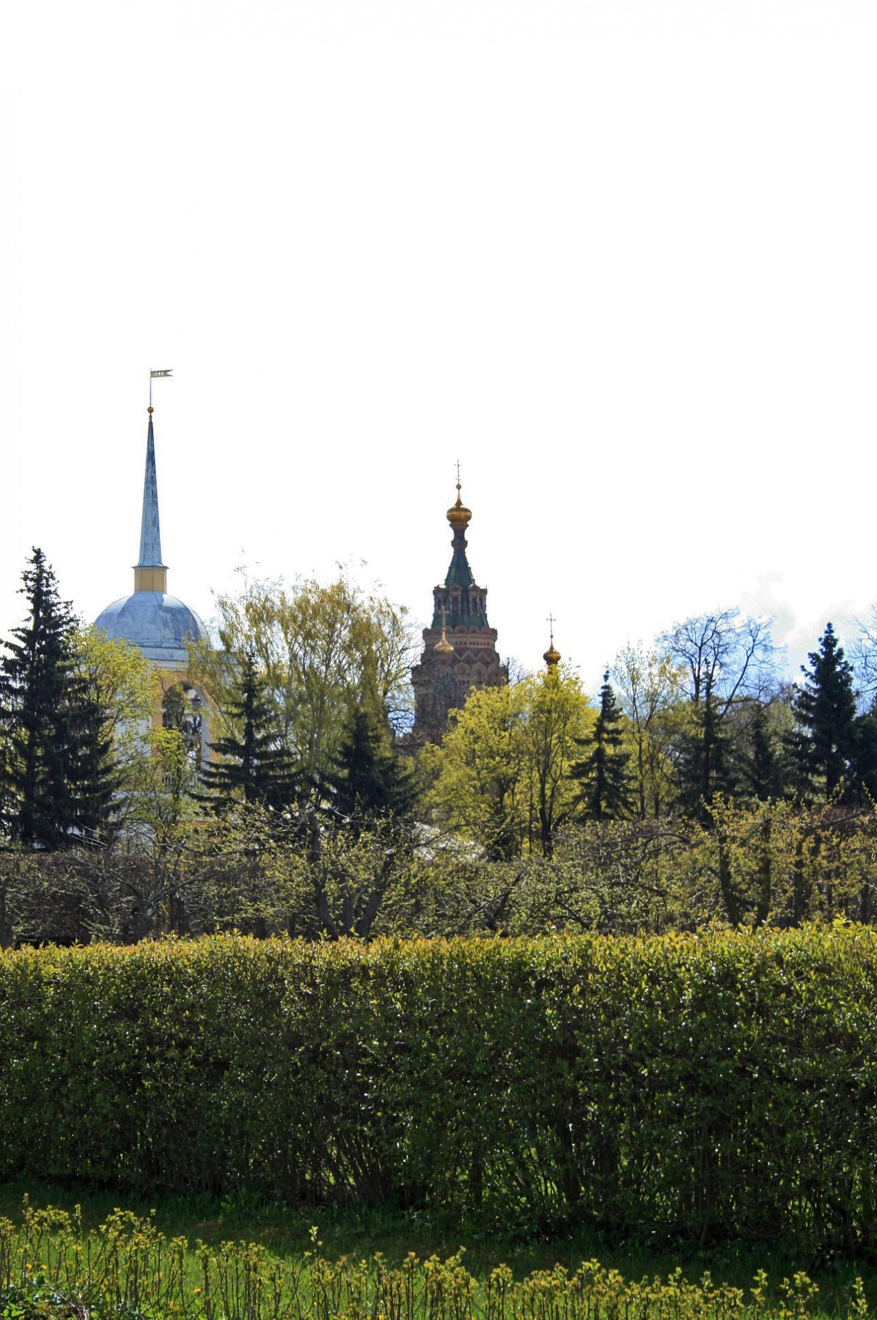 domes and spires of historic buildings behind trees and a hedge in saint petersburg, russia