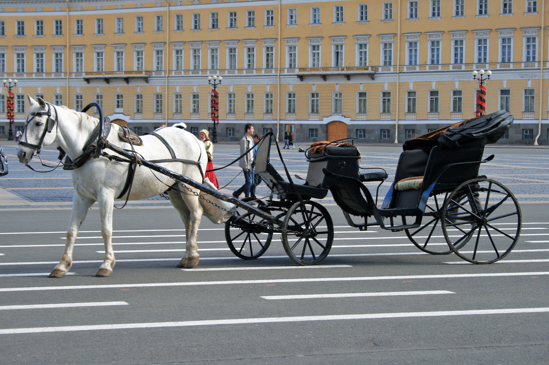 One Horse Cart On Palace Square