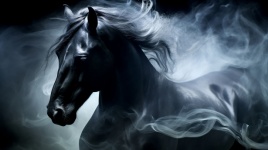 Black Spanish Horse&039;s Essence