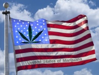 Cannabis Leaf On American Flag