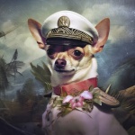 Chihuahua&039;s Portrait As Pilot
