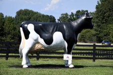 Dairy Cow Statue