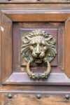 Door Knocker Lion Head