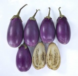 Eggplant Isolate On White